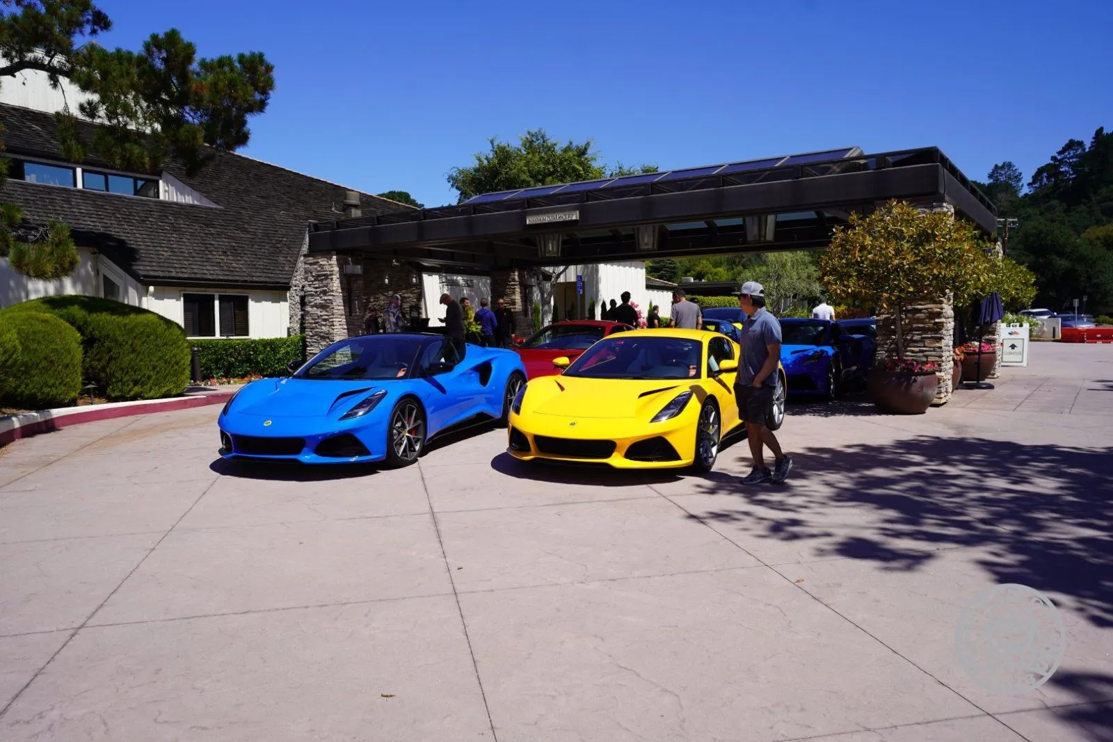 DSC06610 (Large).jpg