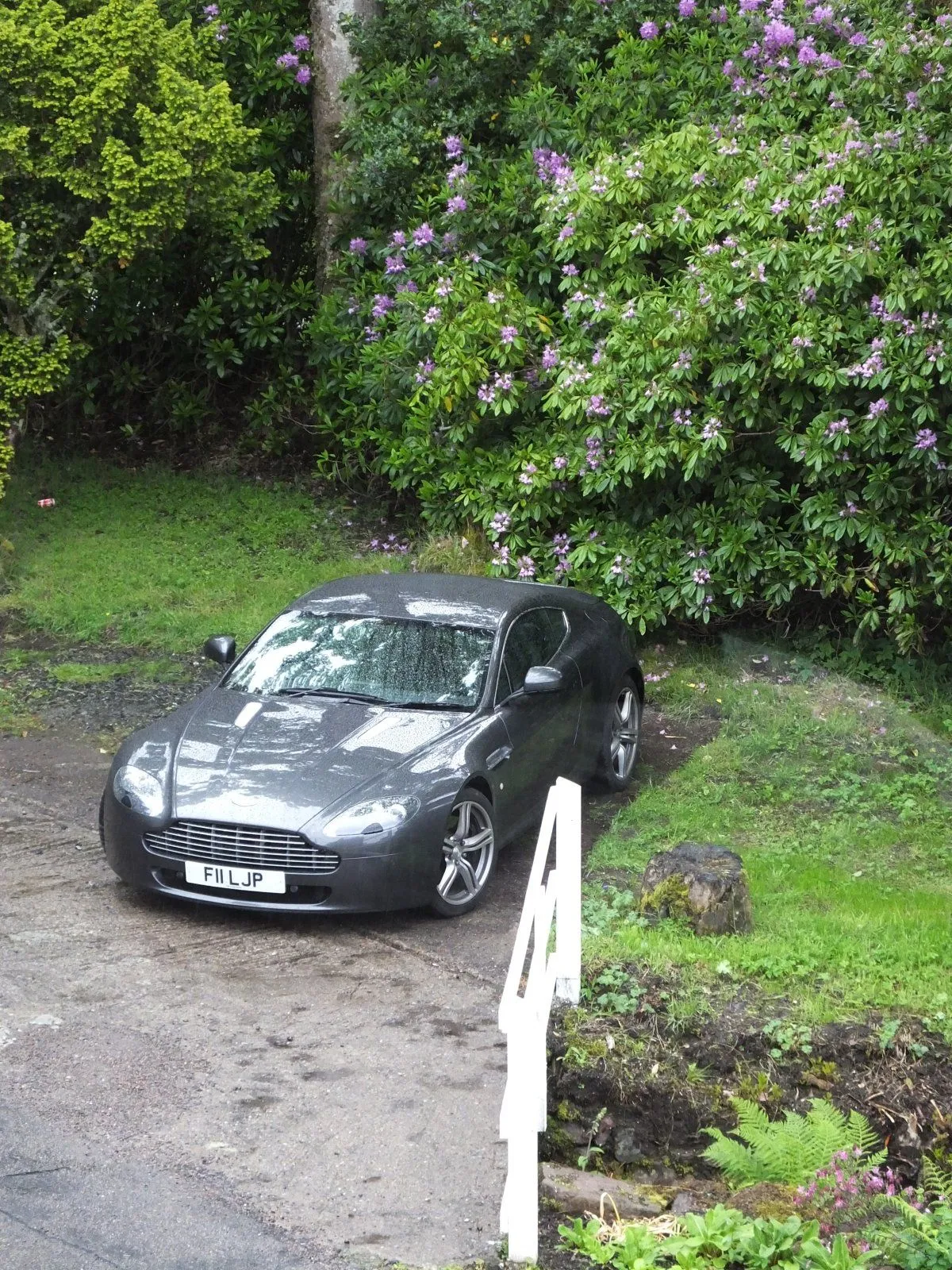 DSCF5487.JPG