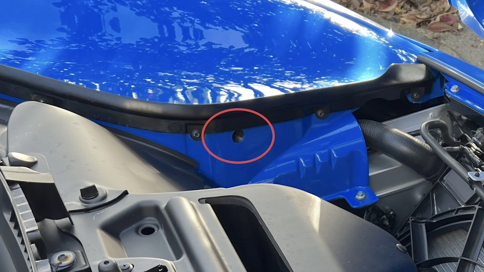Headlight adjust.webp