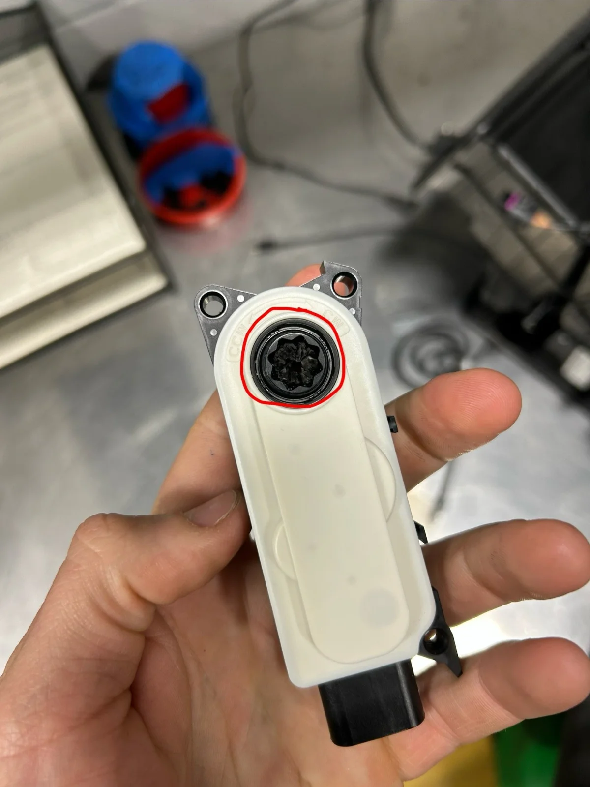 image_0.webp