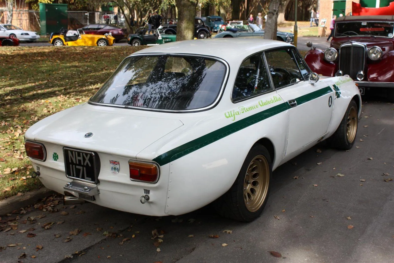 IMG_3721 (Large).JPG