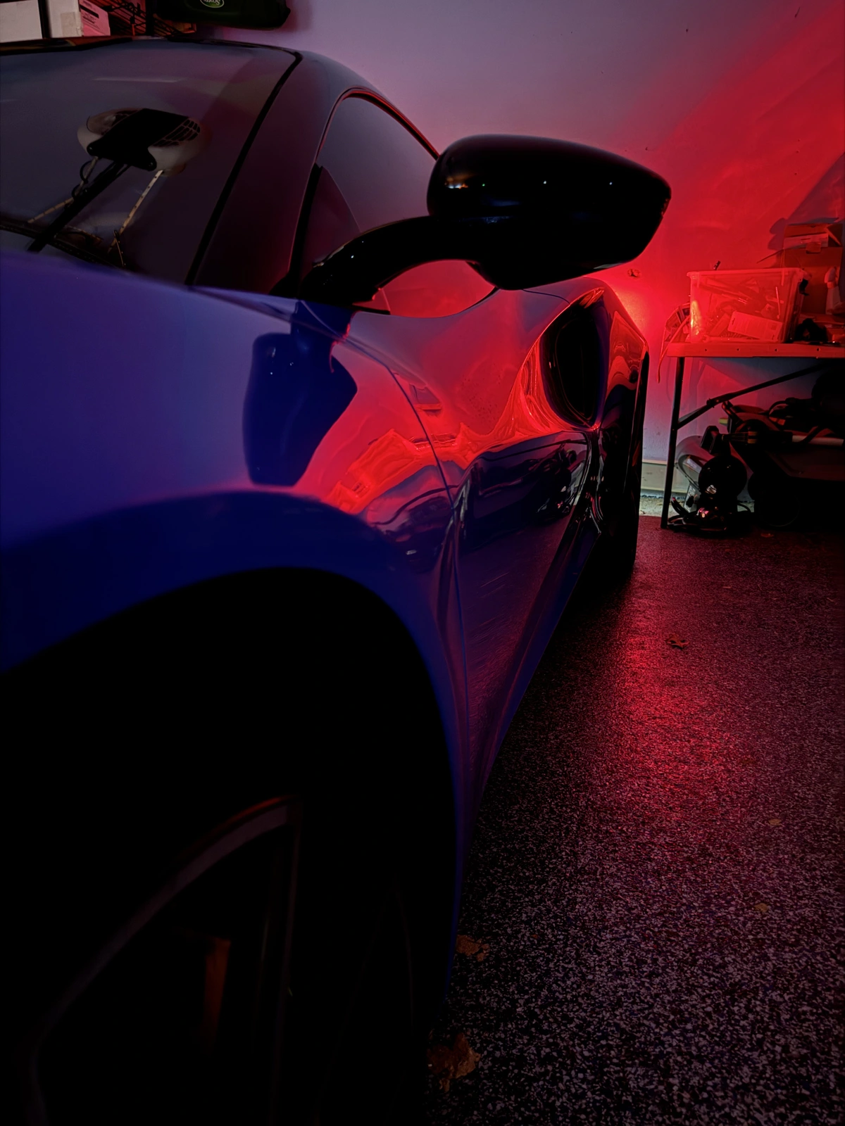 IMG_5438.webp