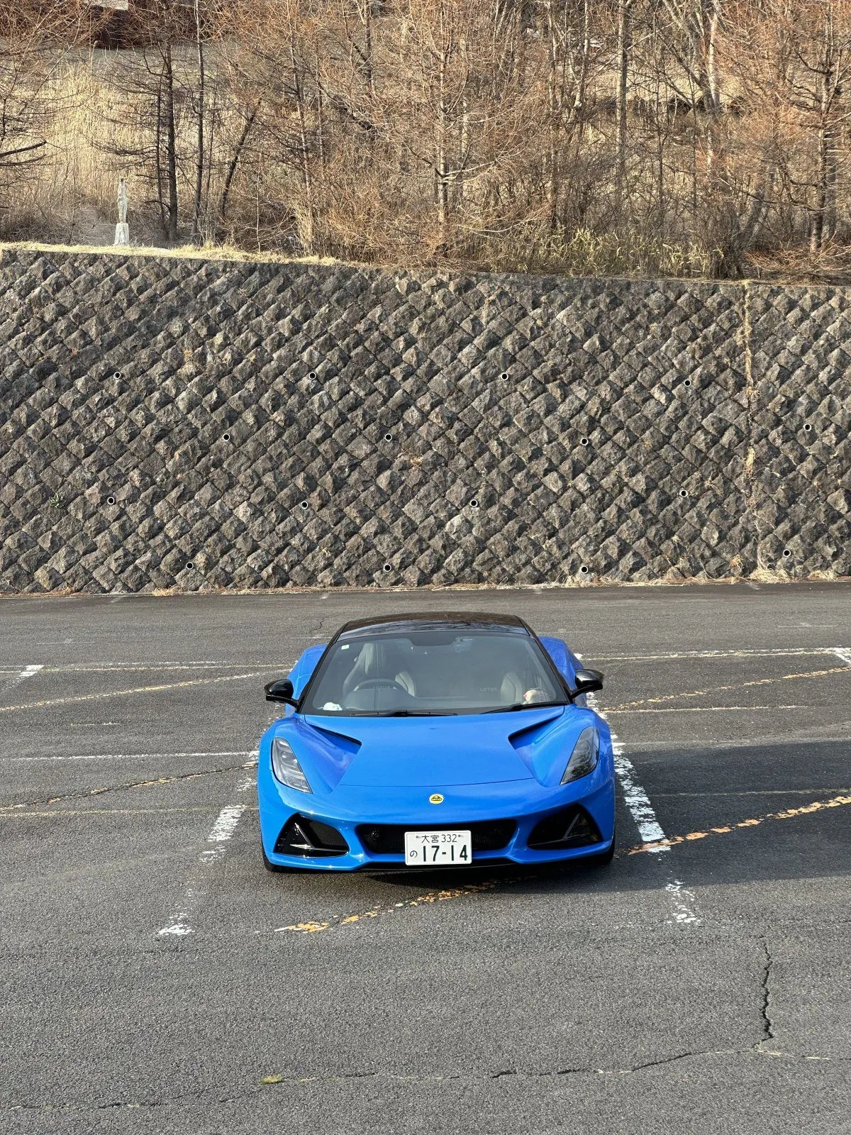 IMG_7013.jpeg