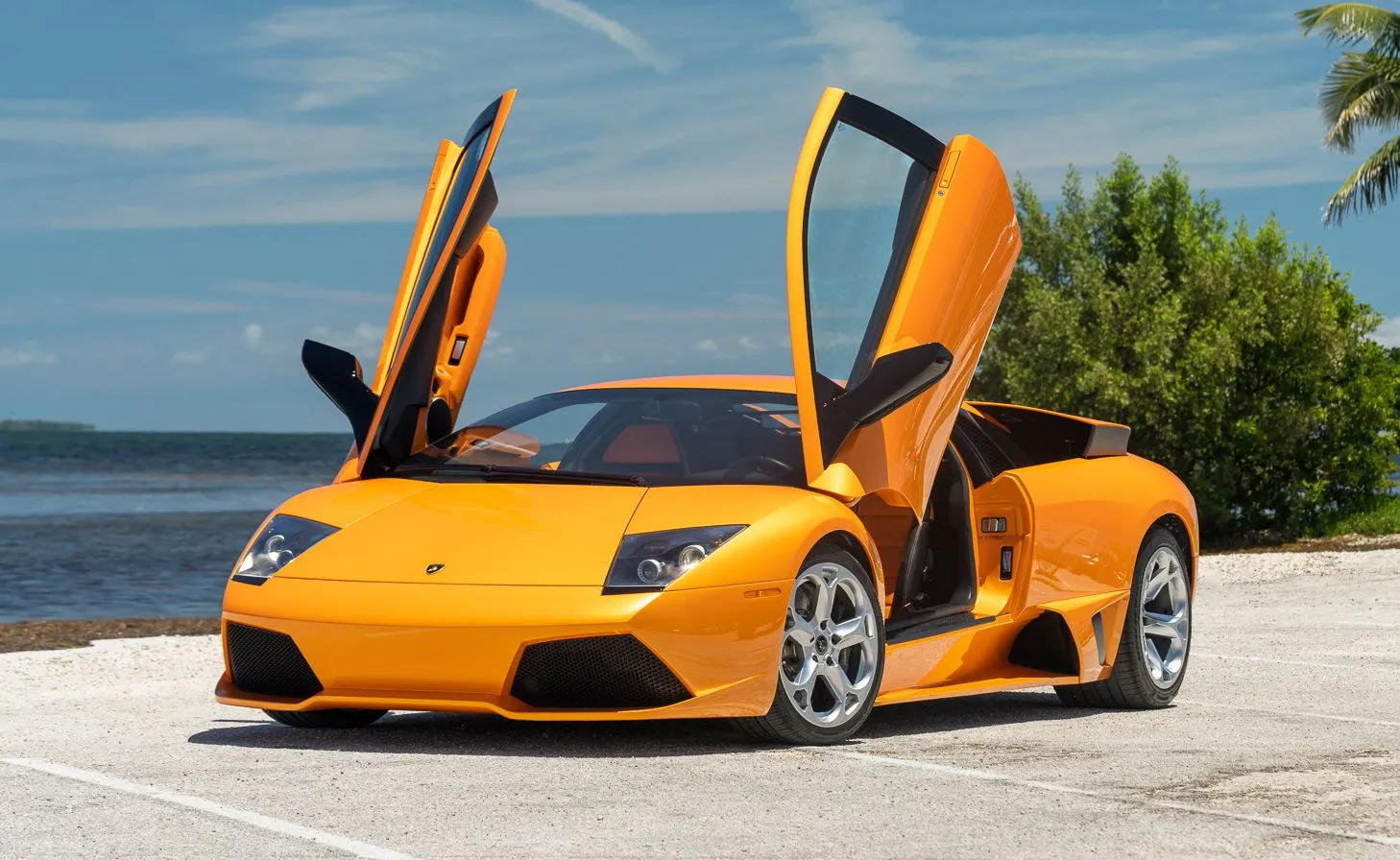Lamborghini-Murcielago-LP640-Arancio-on-Orange-Black-4.jpg