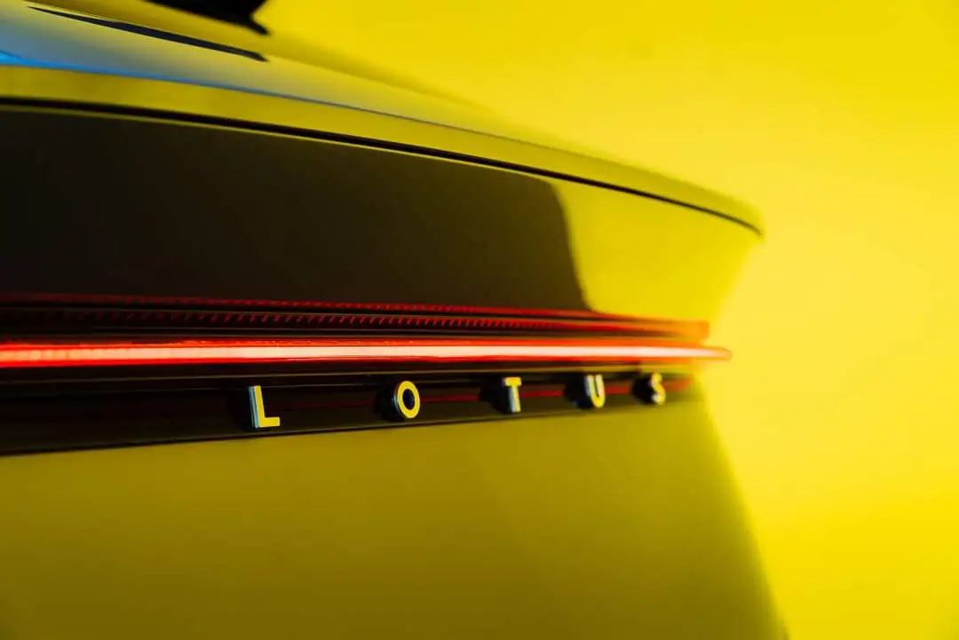 lotus teaser.jpeg