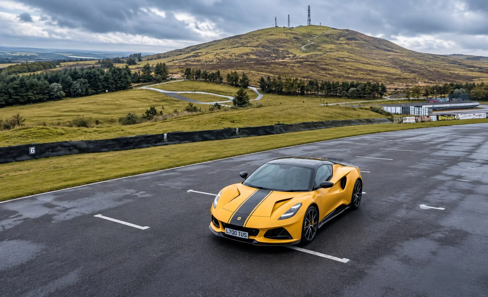 lotus.webp