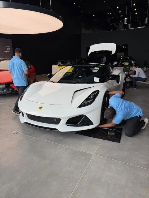 Lotus1.webp