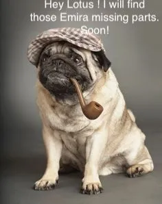 pug holmes.jpg