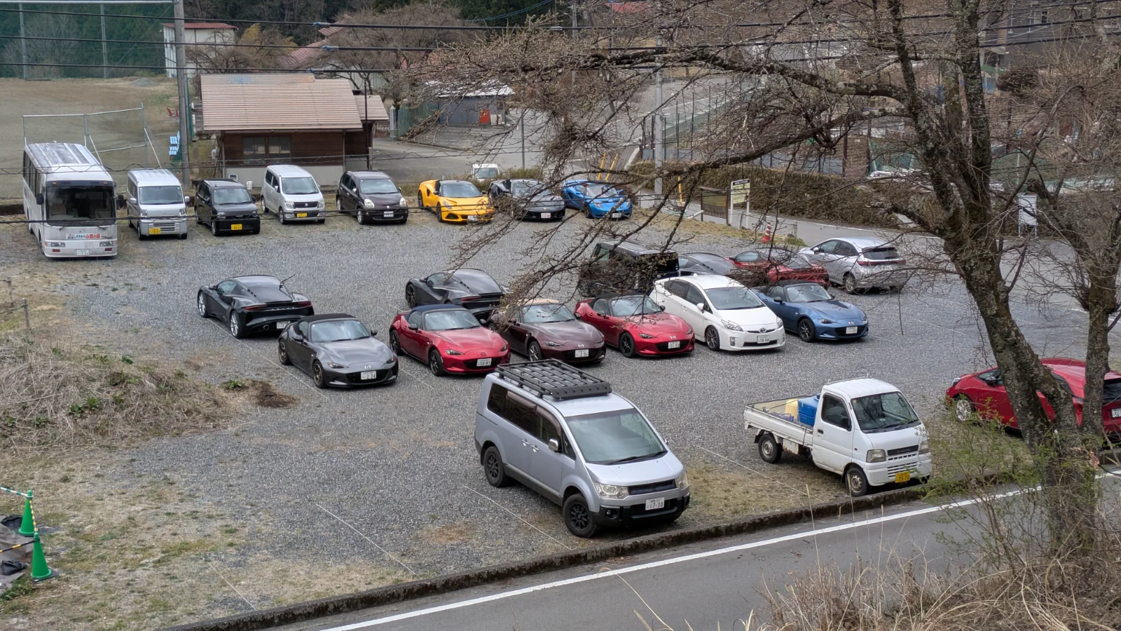 PXL_20250330_054623640.RAW-01.COVER.webp