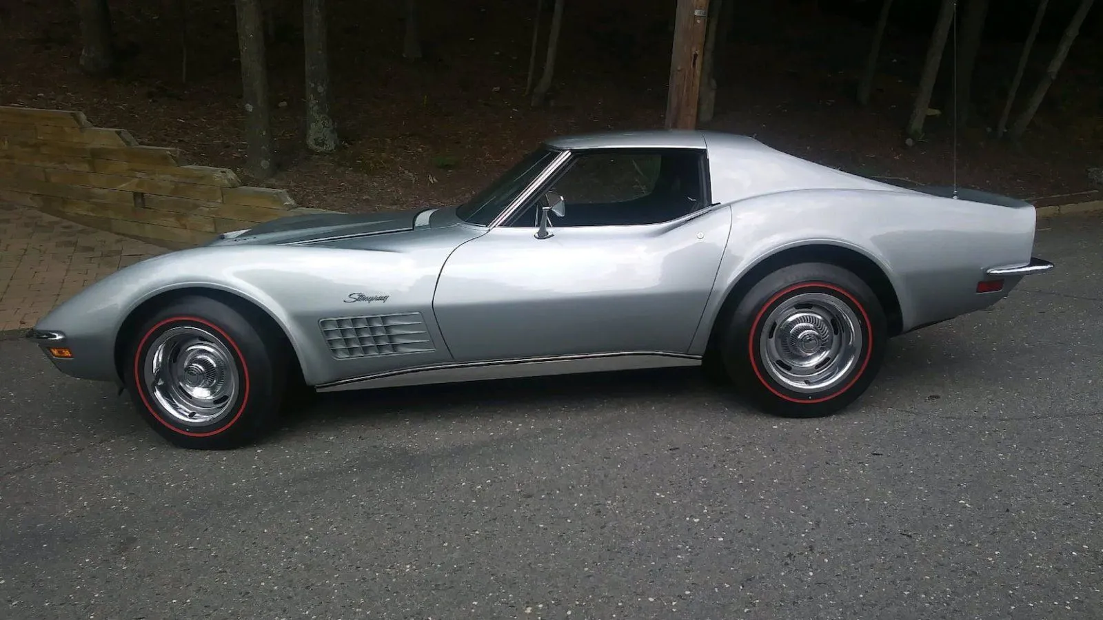 Stingray Cortez Silver.jpg